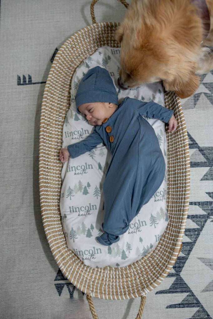 in home family newborn sessions. wheaton, il downers grove